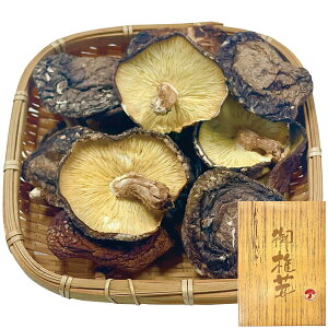 Y؊ő M 85g OK-30   oYj j Ԃ LOi a ސEj