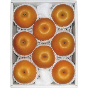 쌧Y 쐅 ۔ 1.8kg t[c ʕ a hV̓ c