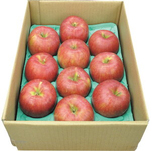 쌧Y VimXC[g 2.7kg t[c ʕ 