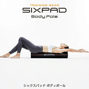 ストレッチポール 腰の人気商品 通販 価格比較 価格 Com