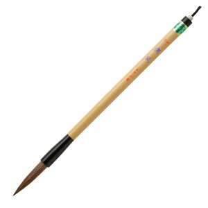  pM M  4q_}r PL-308