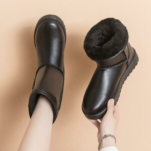 Xm[u[c fB[X h h   ~G g ȌC  n JWA