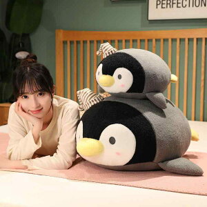 ʂ X yM  킢  PP NbV 40cm 50cm 70cm