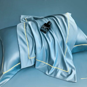 ���J�o�[ �y�A 2���g �ڐG�⊴ ���� �A�C�X�V���N ���n �V���v�� �ƒ�p �Q�� ���P�[�X 48×74cm �u���[