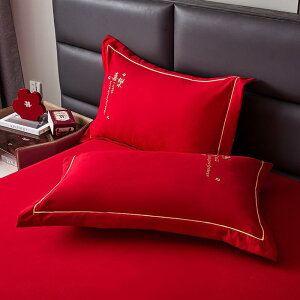 Jo[ p yA |GXe  ԕ xbhpi z[fR[V 48 74cm