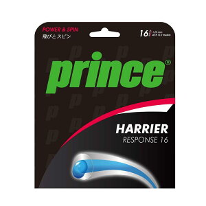 Prince(vX) dejX Kbg nA[ X|X 7JJ021