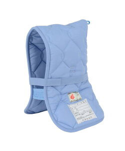 {hFi hГ DK^Cvu[ wZwNȏ 43×27cm 90009