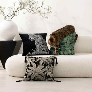 NbVJo[ \t@p Jo[ 45 45cm |GXe hJ g qE n  rO Q ͗lւ