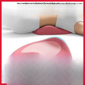 NbV fB[X Y jp lԍHw 썘  T|[g Q   Rbg