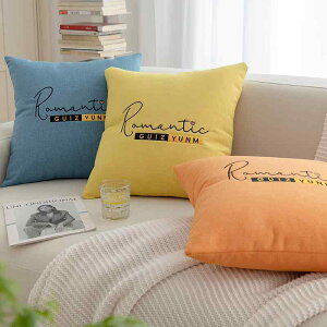 �N�b�V�����J�o�[ �������J�o�[ �Q�� ���r���O �x�b�h���[�� ���n ���� ���� �w���� ���_�� �V���v�� 45cm 30cm �k���� �V���j�[���D