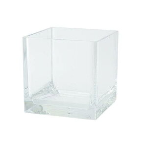 zCG HAMMER GLASS(n}[OX) ԕr XNGA 15cm p NA Ȃ |J[{l[g F