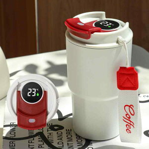  fB[X Y X}[gۉ^u[ e 500ml XeX }O{g ԍ gѕ֗ R[q[ ^fM   ʋ ʊw X|[c AEghA jp