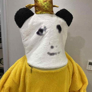 pW} fB[X Y LbY q H~ t[X  g  QԒ [EFA  hS c  E38 _c间}