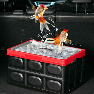 ԍڎ[{bNX ԗp܂肽݃Rei gN[P[X   KF F J[LF