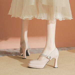 pvX fB[X q[ XNGAgD CXg[ h  q[ ǐF   t