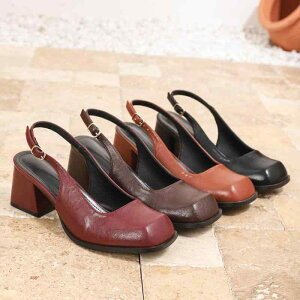 pvX fB[X q[ XNGAgD Cbh 傫TCY q[ 6cm ubN [F J[LF t H~ ؍