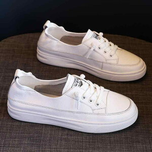 Xj[J[ fB[X _炩{v tbg ʋC [Jbg Xb| EhgD n ig JWA  22.0cm 26.0cm