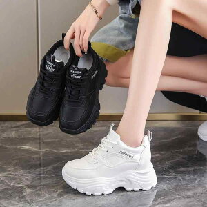 Xj[J[ fB[X  Cq[ EhgD JWA ؍ X|[cV[Y  wlC  ubN x[W H