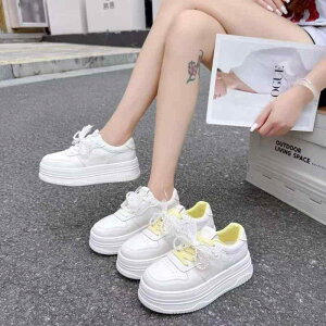 Xj[J[ fB[X  {v  Xj[J[ ʋC X|[c JWA ^C x[W CG[