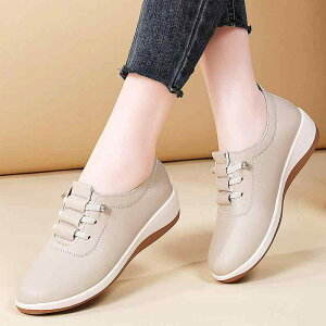 Xj[J[ fB[X  {v v Ռz [Jbg Xb| RȂ S JWA ₷ ₷ wlC   tďH~