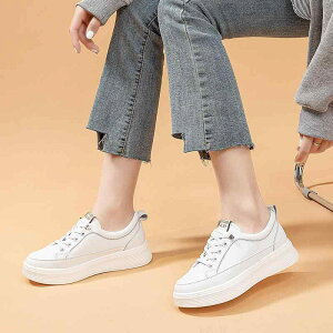 Xj[J[ fB[X Xj[J[ {v U[Xj[J[ [Jbg tbg RȂ Xb| EhgD  n tďH~ JWA ig