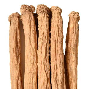 }Q  Ïl Y Whole root   V 