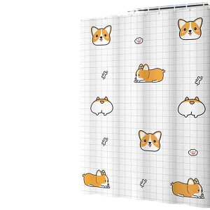 J[e fB[X @\ |GXe  oX[ Ԏd؂  h hJr  Ց ډB J[eOt 킢    iq t[c