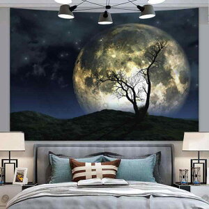 ^yXg[ fB[X   i wiz xbh[ Q Ǌ| 􉽊w͗l  k |GXe 􂢉\ rO