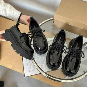 [t@[ fB[X  TCY ʋ ʊw [q[ Ȃ  ubN ₷ ɂȂ Cq[ 킢 r ~ EhgD JWA t H~