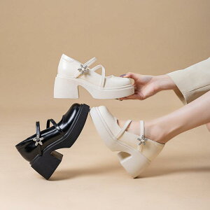 pvX fB[X  [WF[V[Y [t@[ Cq[ XNGAgD {v nCq[ 8cmȏ q[ `L[q[ n t H~ ubN x[W  f[