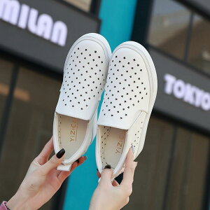 [t@[ fB[X  Xj[J[ {v TCY   2cm Cq[ EhgD n t H ʋ ig