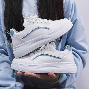 Xj[J[ fB[X  X|[cV[Y jOV[Y ؍ EhgD R [Jbg ʋC y  zCgn ig