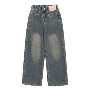 q W[Y K[Y fjpc Ch tH ~ N  Xg[g B 哶 8Έȏ 140cmȏ i 킢  u[  ubN