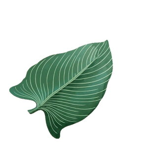 փ}bg fB[X ]y oX}bg z  ~ߕt  ʏ Eߏ oX[ 킢  [t Ajvg