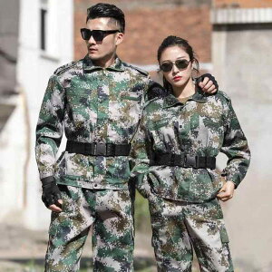 ʕ Y fB[X ㉺Zbg ƕ tďH jp ʕ WPbg pc