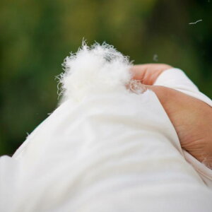 H? fB[X X|[c jO WPbg  XL[ EFA X y  h ۉ K g[jO ^ AE^[