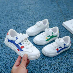 Xj[J[ LbY qC j̎q ̎q ^C  JWA Ȃ ₷ ʋC ~ y ct w t H~  AEghA  u[  O[