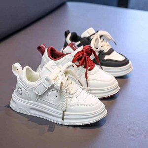 Xj[J[ LbY  ^C qC ̎q  [Jbg ʊw tH  ĔF  