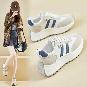 Xj[J[ fB[X  Cq[ ^C jOV[Y EH[LOV[Y JWA r ʊw ig