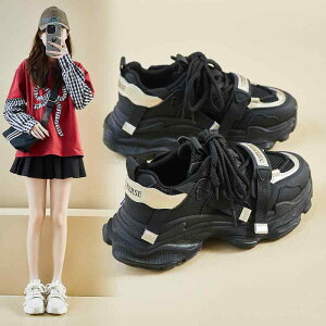 Xj[J[ fB[X  ^C jOV[Y p JWA ₷  F x[W tG