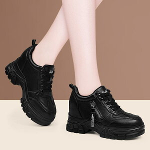 Xj[J[ fB[X  Cq[ jOV[Y {v X|[cV[Y JWAV[Y 6cm 5cm zCg ubN x[W O[W bV t