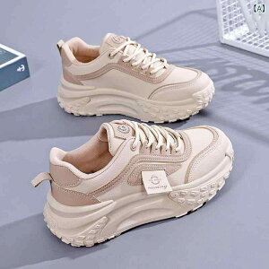 Xj[J[ fB[X  X|[cV[Y jOV[Y JWAV[Y h ʊw ig x[W ubNn