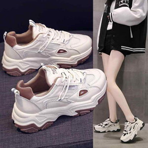 Xj[J[ fB[X  tďH~ ؍ X|[c jOV[Y  ^C ʋC JWA ig   x[W