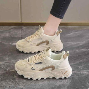 Xj[J[ fB[X  Xj[J[ ؍ t@bV Cq[ 5cm gAbv jO V[Y ^C JWA r y ʋC ₷ ig   x[W t