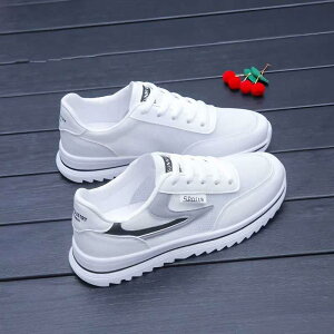 Xj[J[ fB[X 傫TCY bV ʋC ^C jOV[Y JWAV[Y   y [Jbg