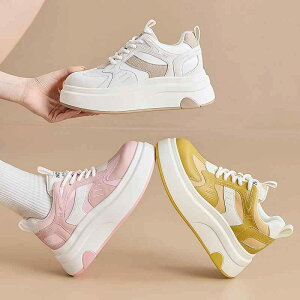 Xj[J[ fB[X  jOV[Y ^C ʊw y RC  t 킢 JWA