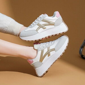 Xj[J[ fB[X  jOV[Y X|[c JWA V[Y  wlC ʋC ϖ    