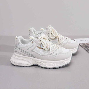 Xj[J[ fB[X  Cq[ jOV[Y X|[cV[Y JWAV[Y C ؍ x[W u[ ʋC ϖՐ ig