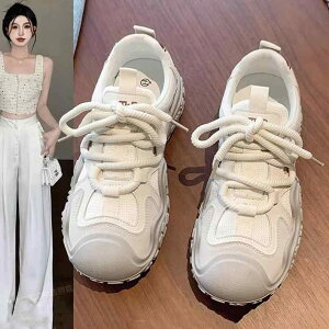 Xj[J[ fB[X  t ^C jOV[Y RC ig y ₷ ₷  [Jbg tbg\[ ؂ wlC ~ ʋC Ĕ sN