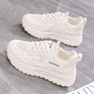 Xj[J[ fB[X bV ʋC X|[c ^C jOV[Y RȂ Xb| _炩 y Ȃ ₷   sNn t